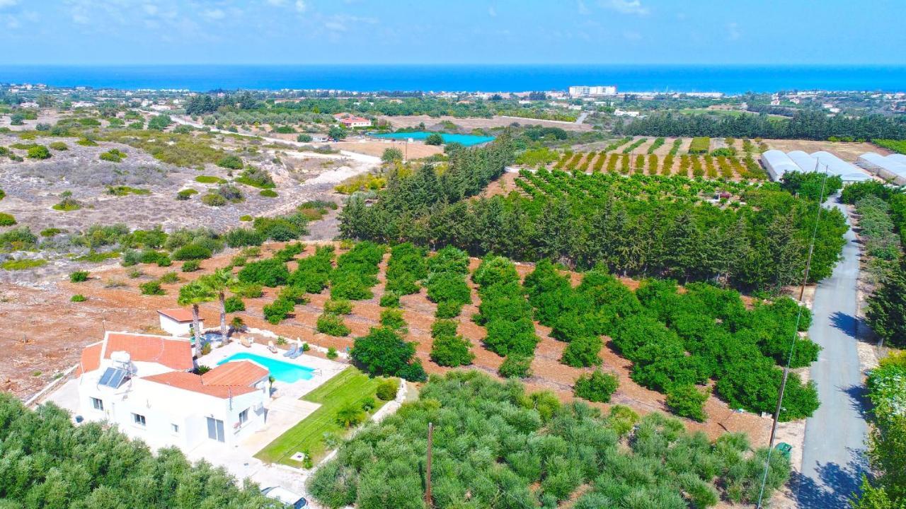 Villa Anthoulis Polis Bagian luar foto